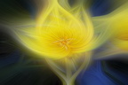 Twirl Effect